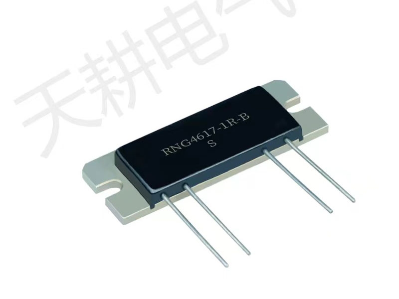 RNG4617 金属箔采样电阻